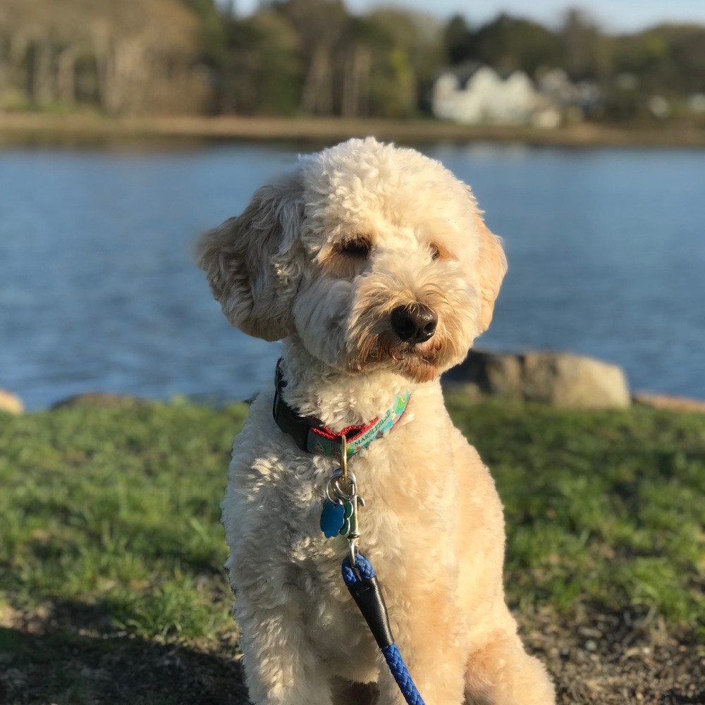 Meet your Posher, Patricia